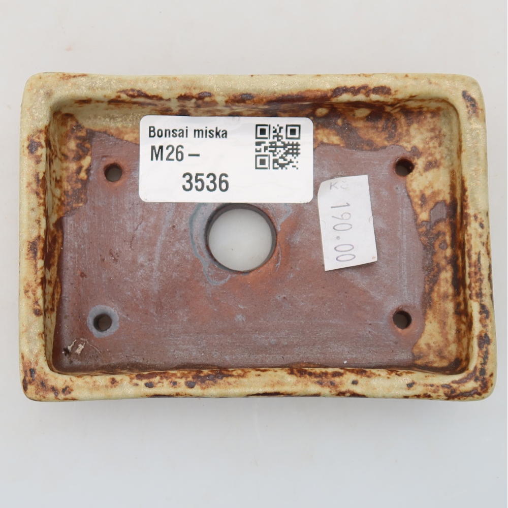 Bonsaischaal van keramiek 10 x 7 x 2 cm, kleur beige