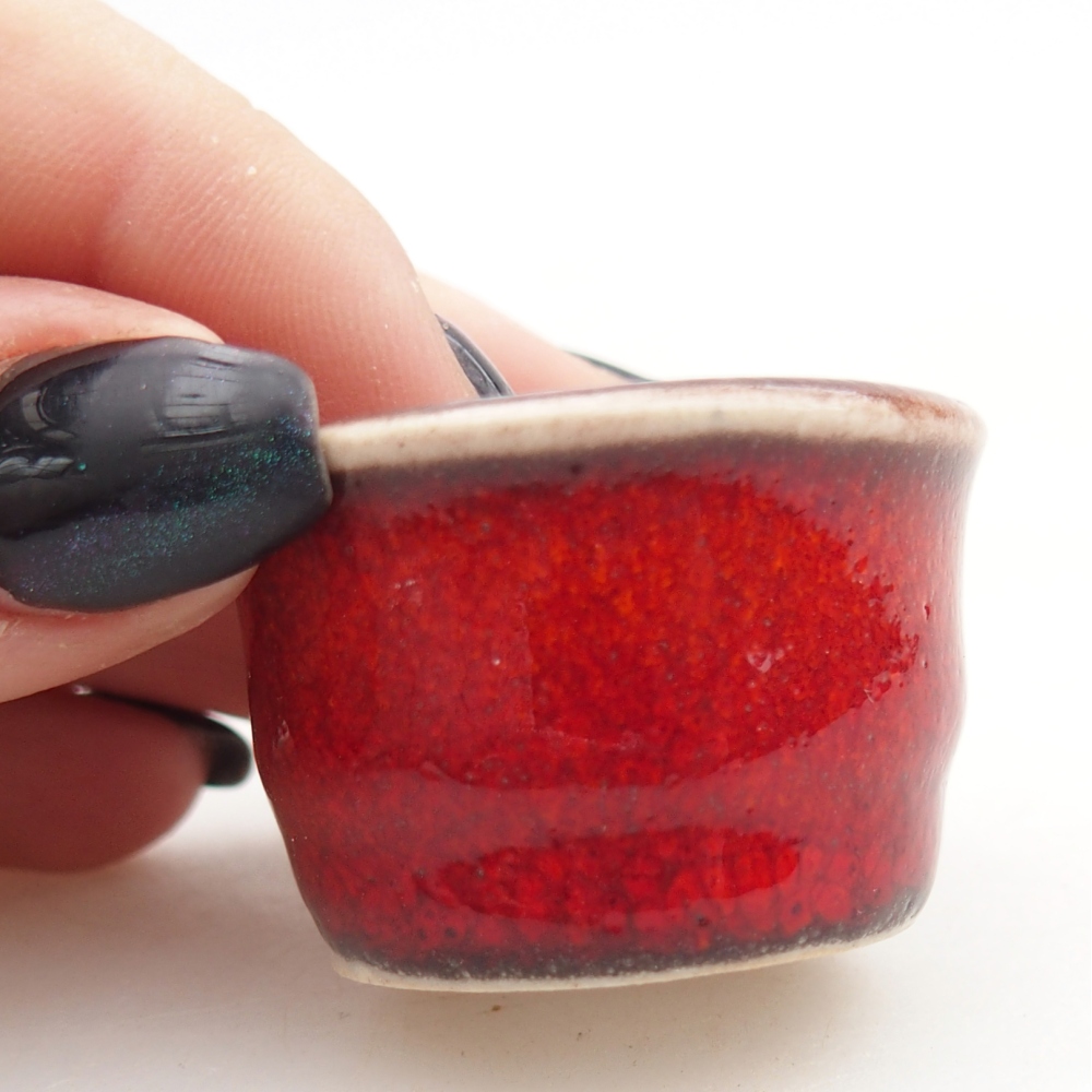 Mini bonsaischaal 3,5 x 3,5 x 2,5 cm, kleur rood