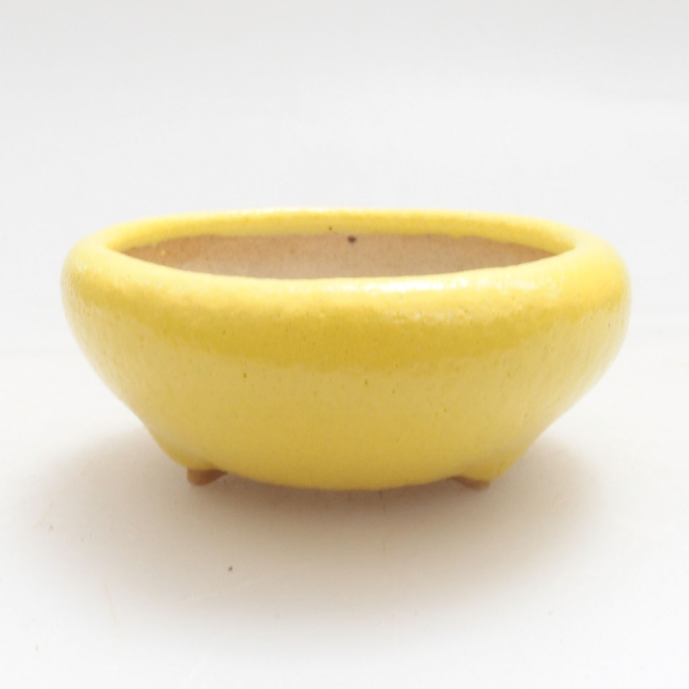 Bonsaischaaltje van keramiek 5 x 5 x 2 cm, geel