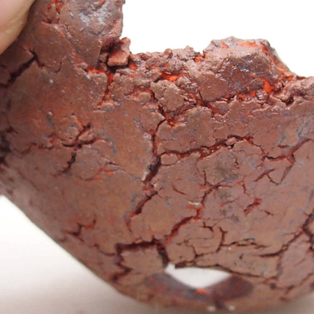 Schelp van keramiek 7 x 7 x 3 cm , kleur oranje