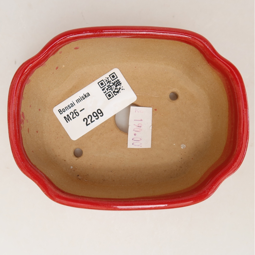 Keramische bonsaipot 10,5 x 8 x 4 cm, kleur: rood