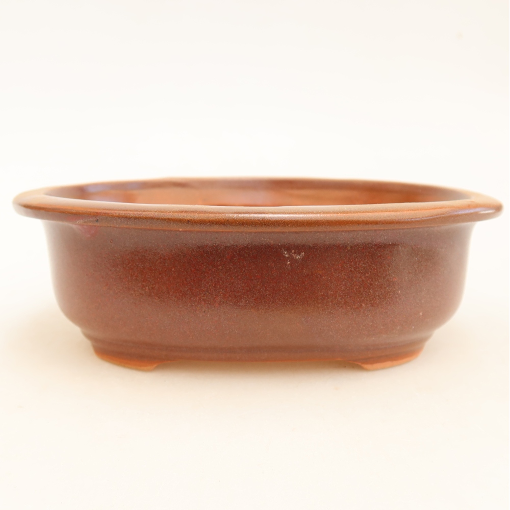 Keramische bonsaipot 18 x 14,5 x 5,5 cm, kleur bordeauxrood