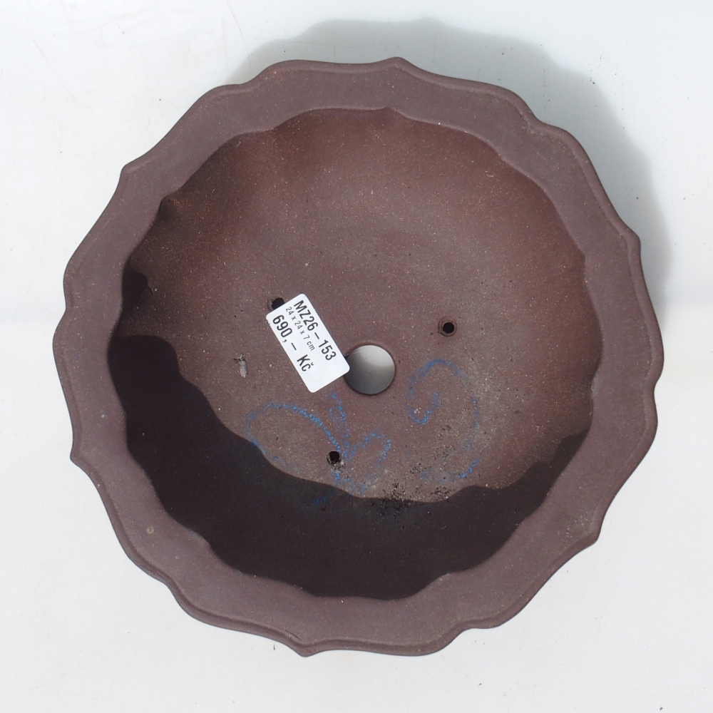 Bonsaischaal 24 x 24 x 7 cm berken bruin