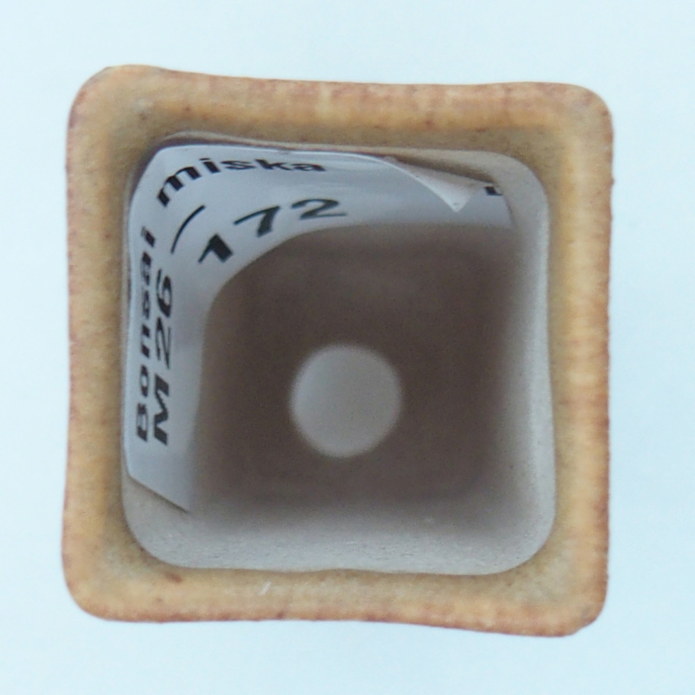 Mini bonsaischaal 2 x 2 x 5 cm, bruin