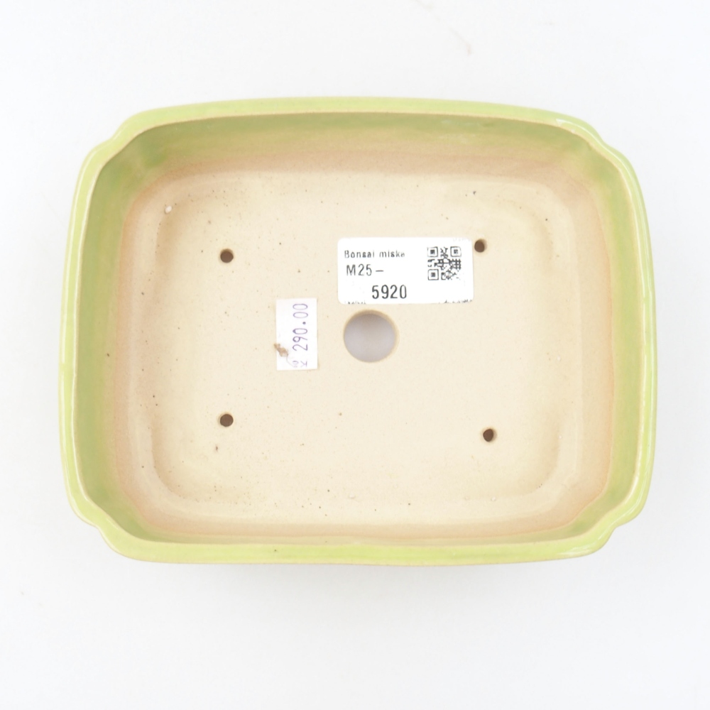 Bonsaischaal van keramiek 22 x 17 x 5 cm, groen