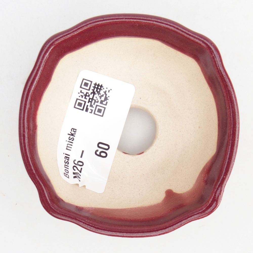 Mini bonsaischaal 6,5 x 6,5 x 3 cm, bordeauxrood