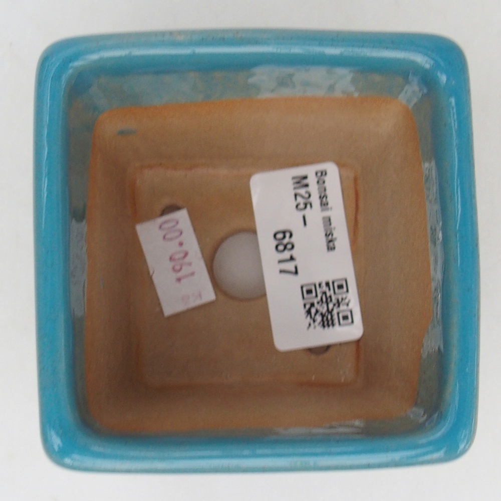 Bonsaischaal van keramiek 7,5 x 7,5 x 7 cm, kleur blauw