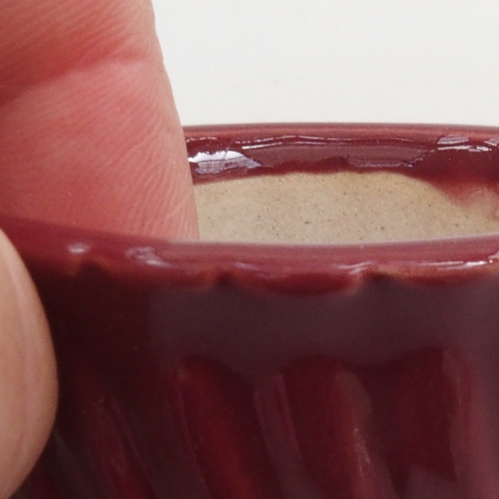 Mini bonsaischaal 5 x 5 x 2,5 cm, kleur bordeauxrood