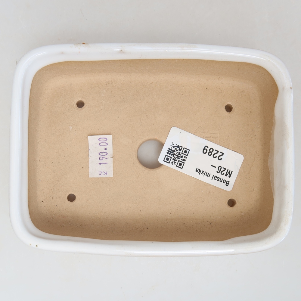 Keramische bonsaipot 13 x 9,5 x 3,5 cm, kleur: wit