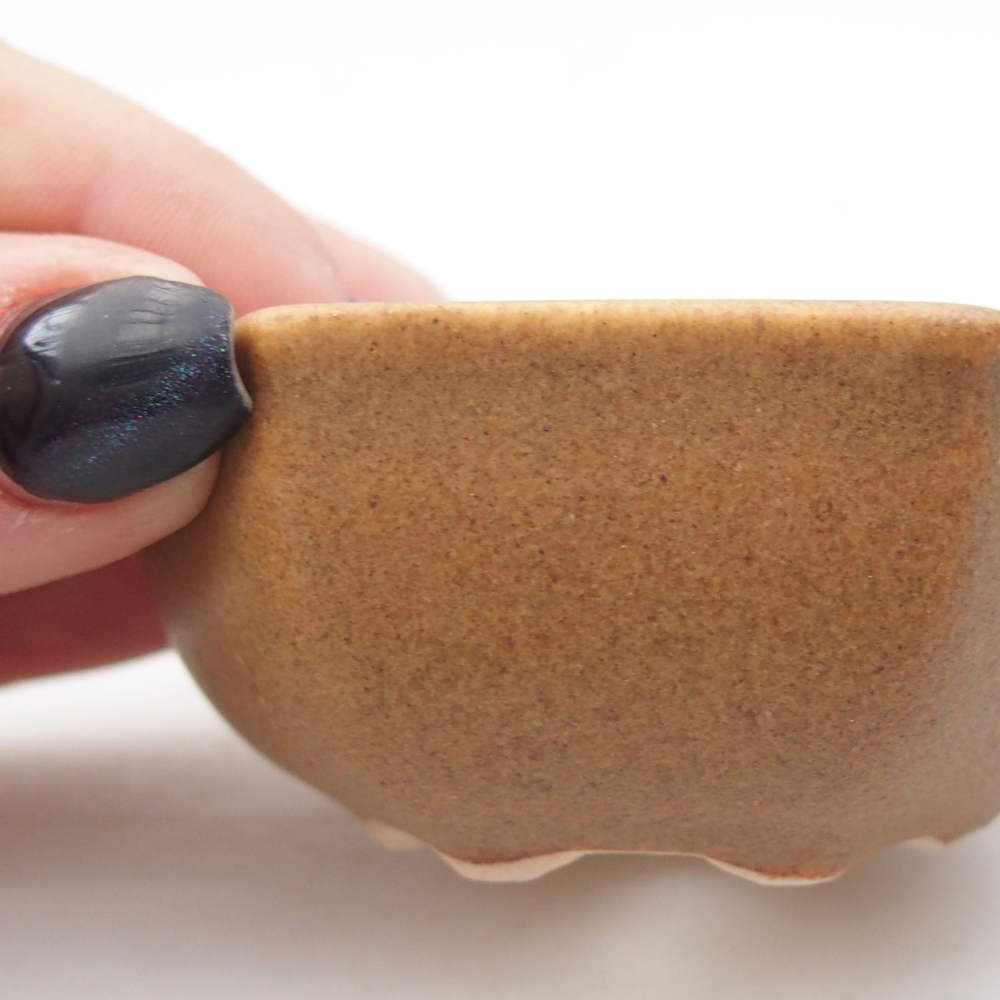 Mini bonsaischaal 7 x 6 x 3 cm, bruin