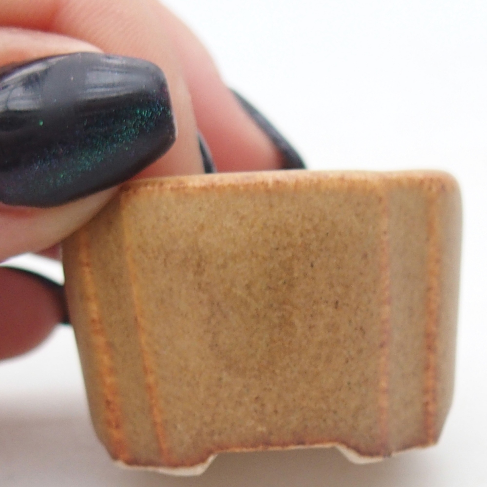 Mini bonsaischaal 3,5 x 3,5 x 2,5 cm, bruin