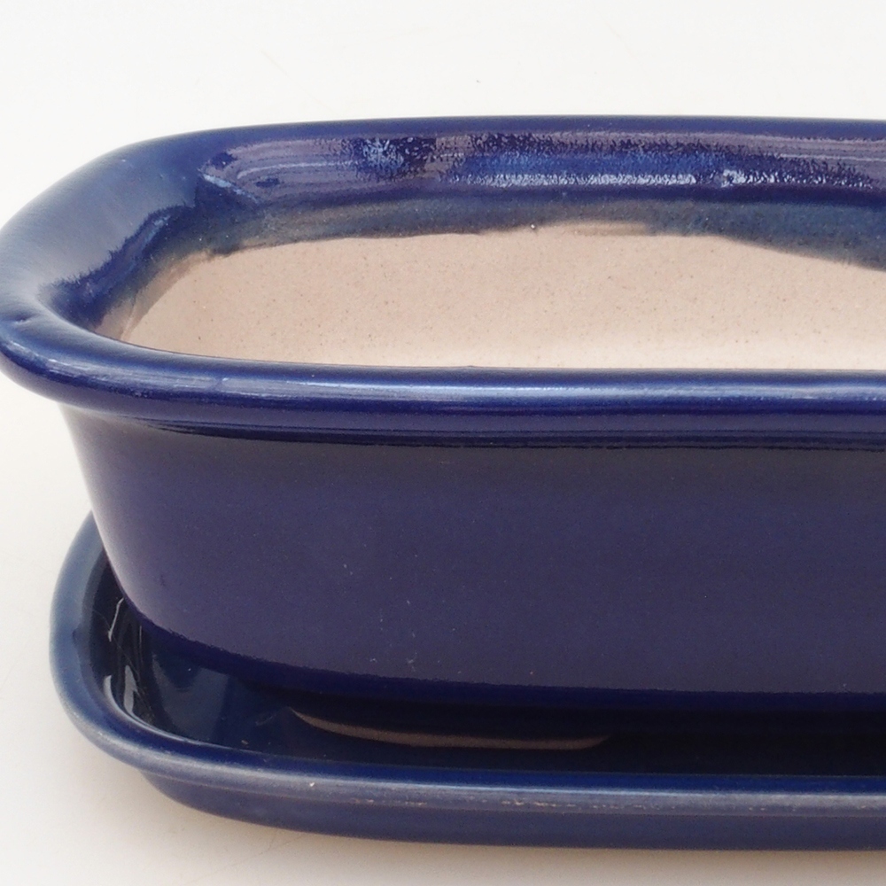 Bonsai kom + schotel H02 - blauw