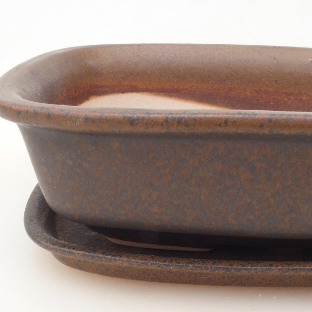 Bonsaischaal + schotel H02 - bruin