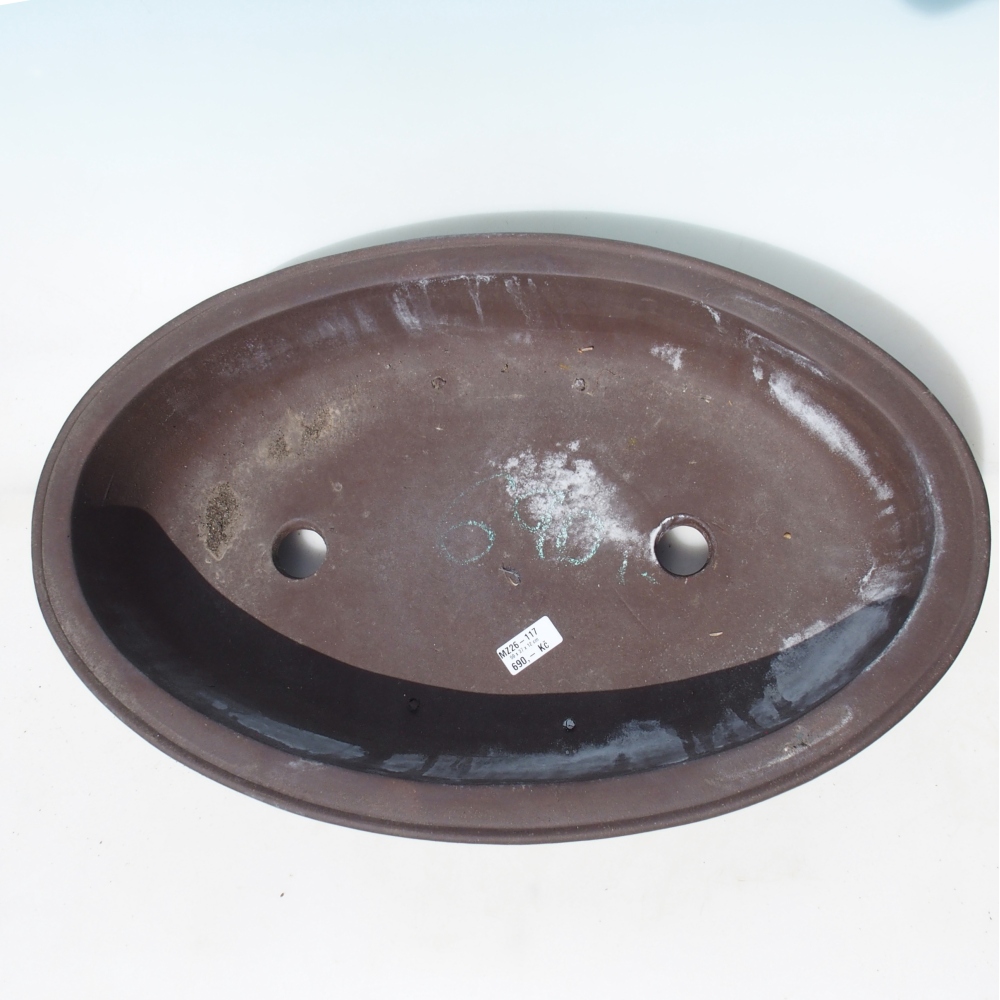 Bonsaischaal 59 x 37 x 12 cm - bruin