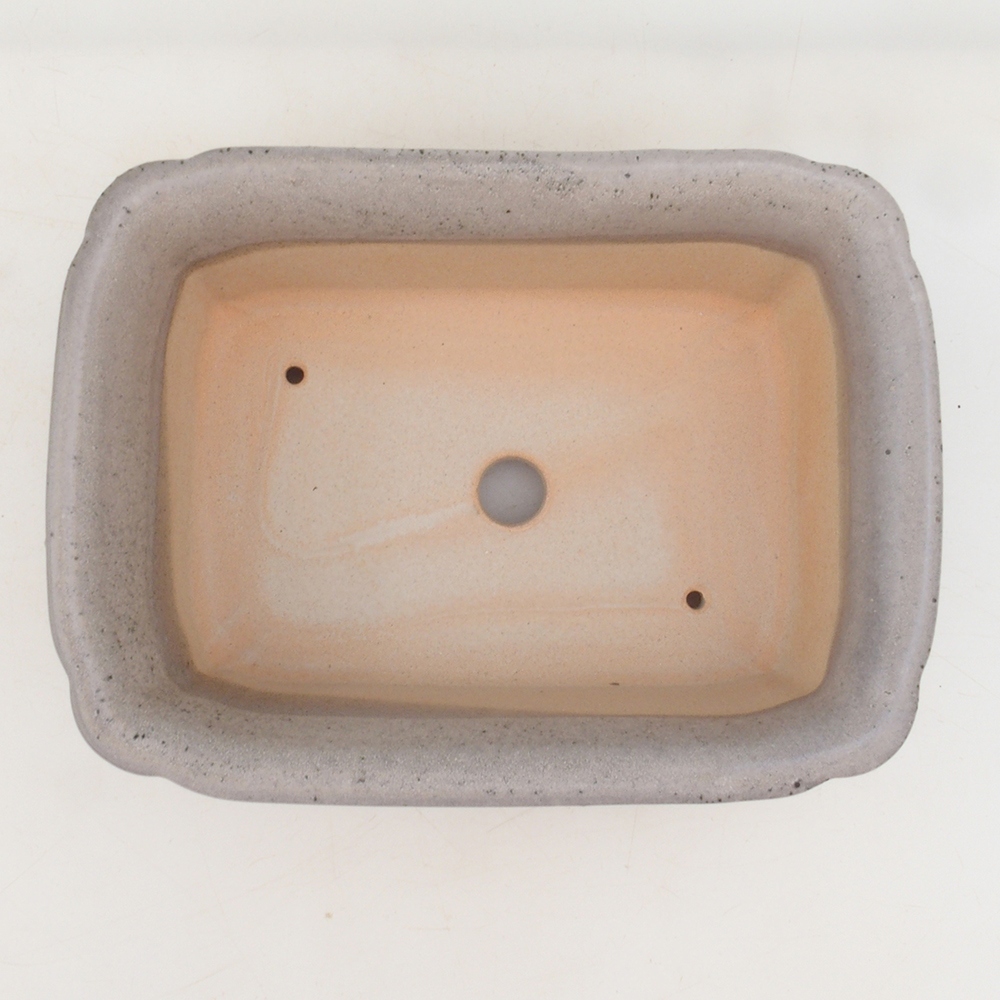 Bonsaischaal H50 - 17 x 12,5 x 5,5 cm - beige