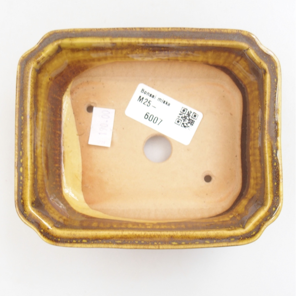 Bonsaischaal van keramiek 22 x 17 x 5 cm, groen