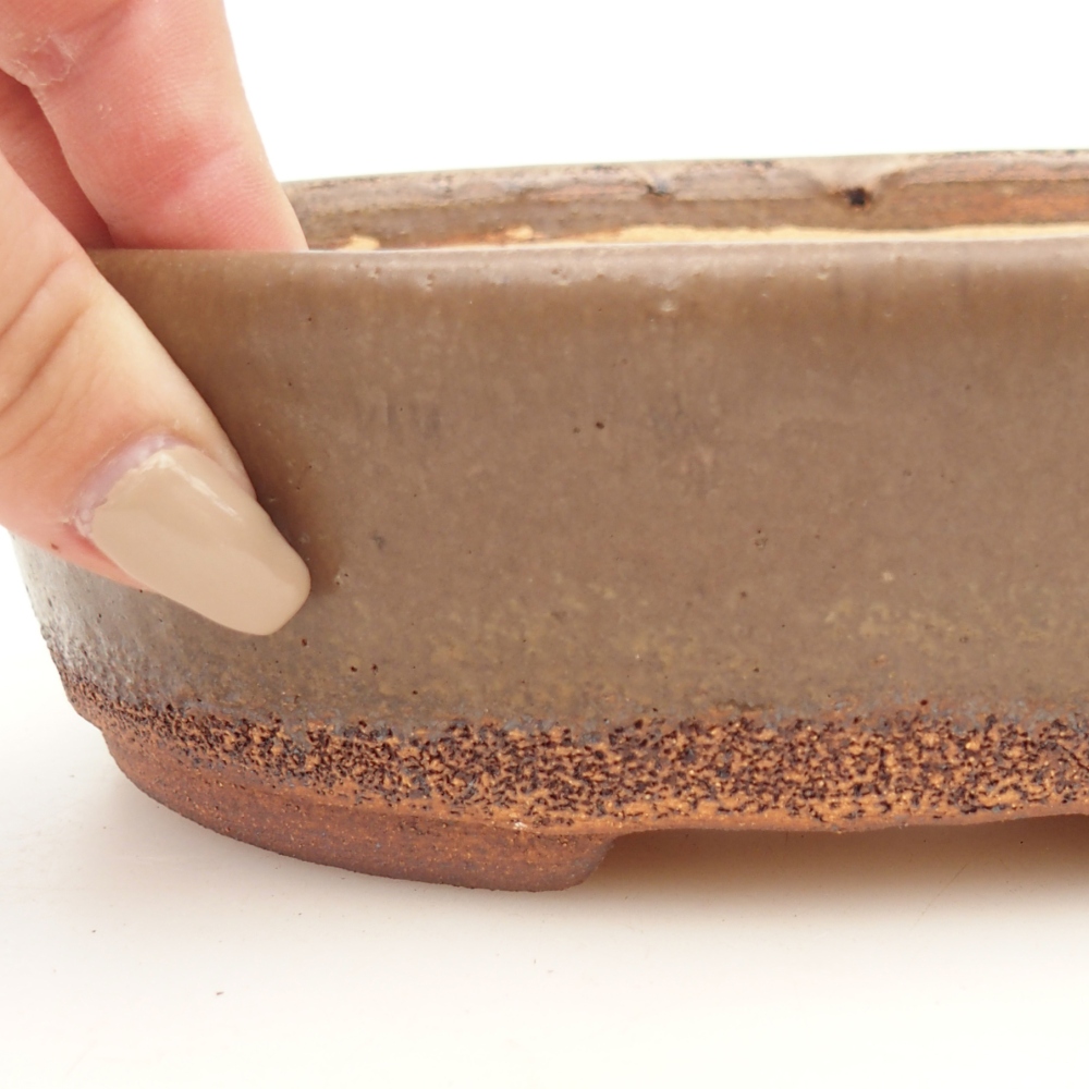 Bonsaischaal 19,5 x 16 x 6 cm , kleur bruin