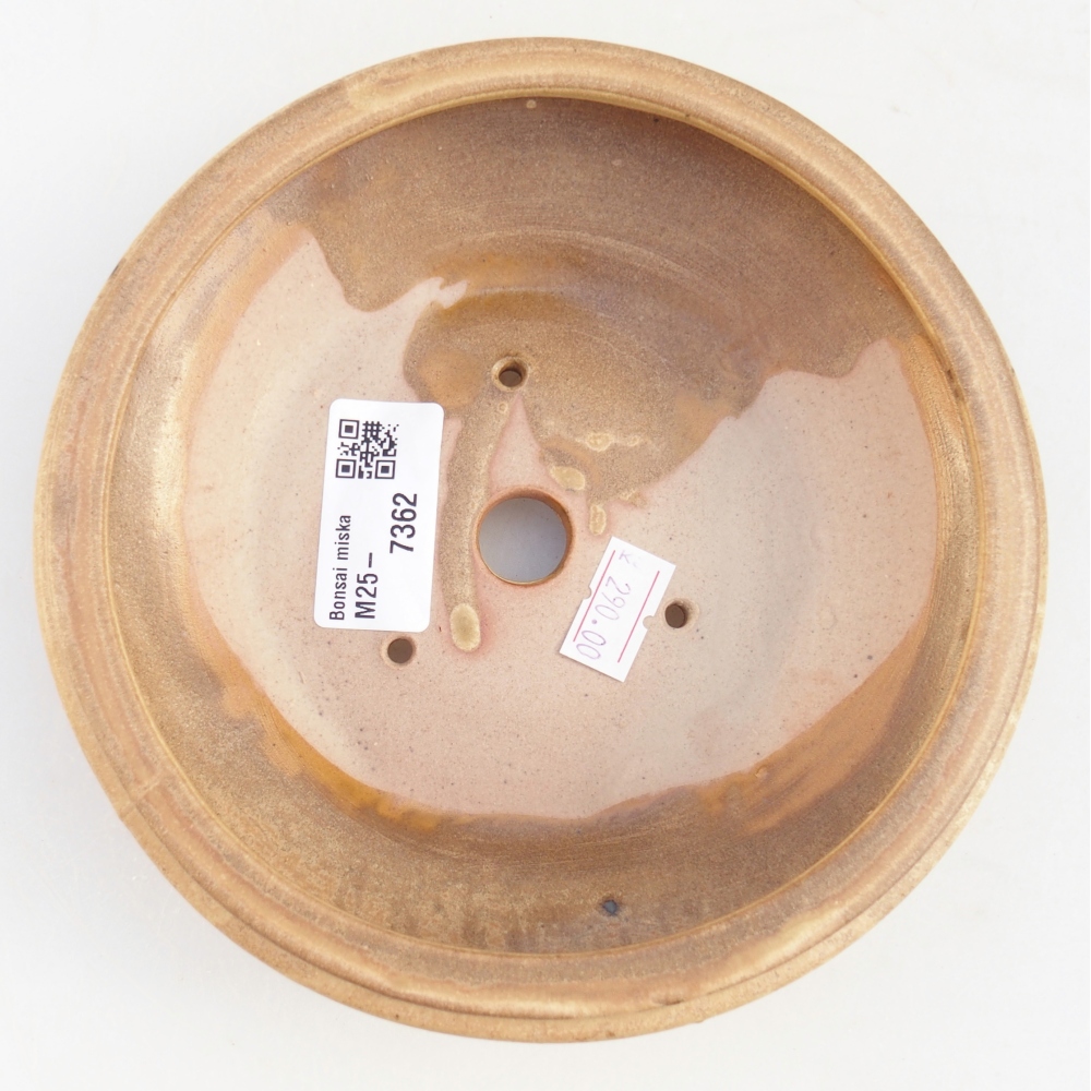 Bonsaischaal van keramiek 16 x 16 x 5 cm, kleur beige