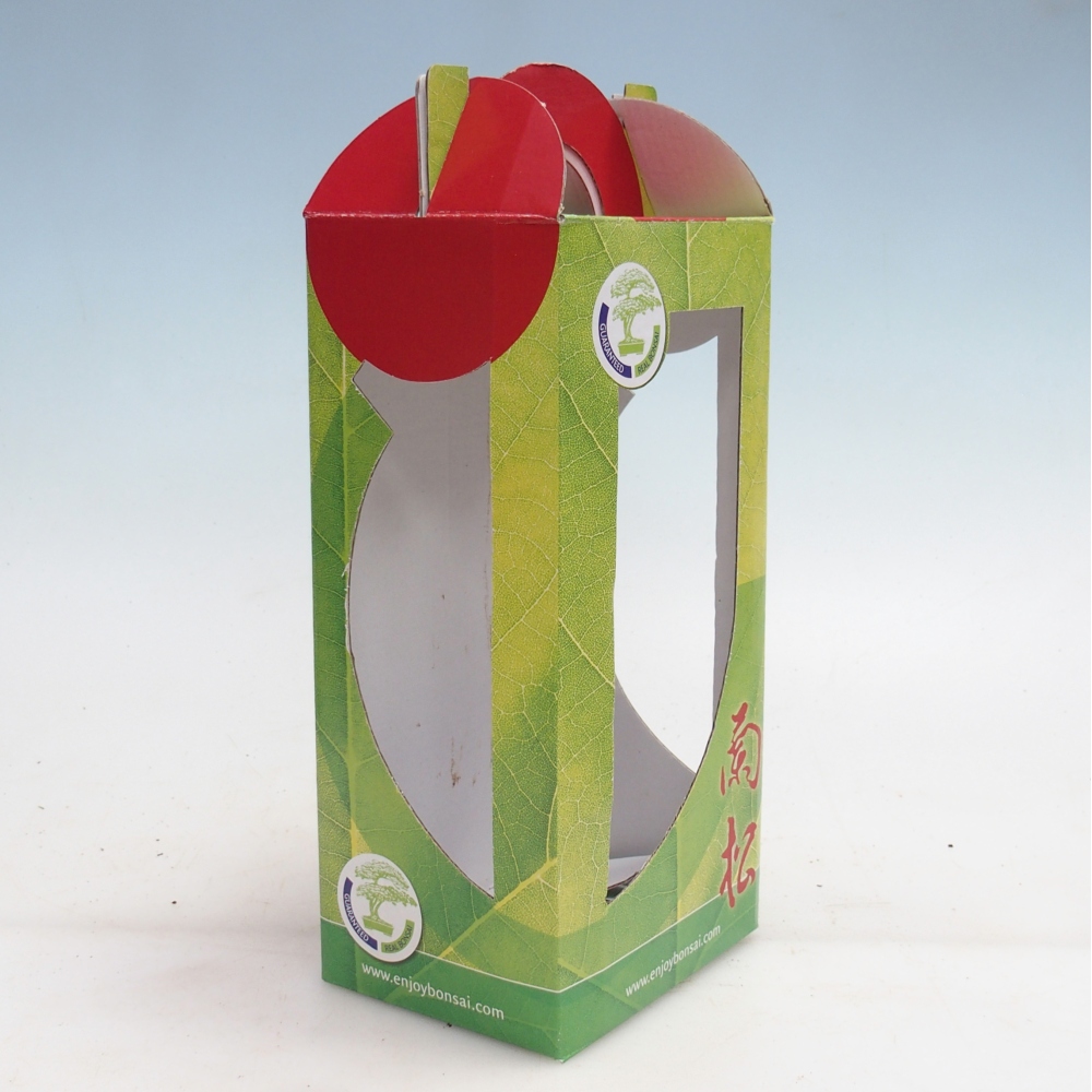 Bonsai geschenkdoos - papier