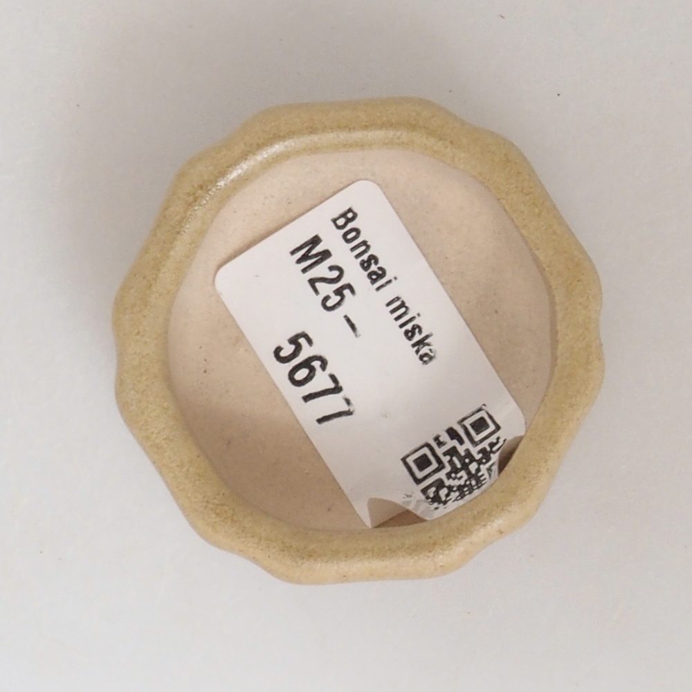 Mini bonsaischaal 4,5 x 4,5 x 2 cm, bruin