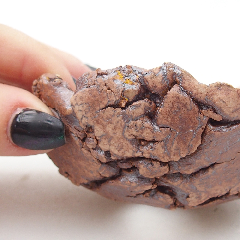 Keramisch Schelp 9 x 8,5 x 4,5 cm , kleur bruin