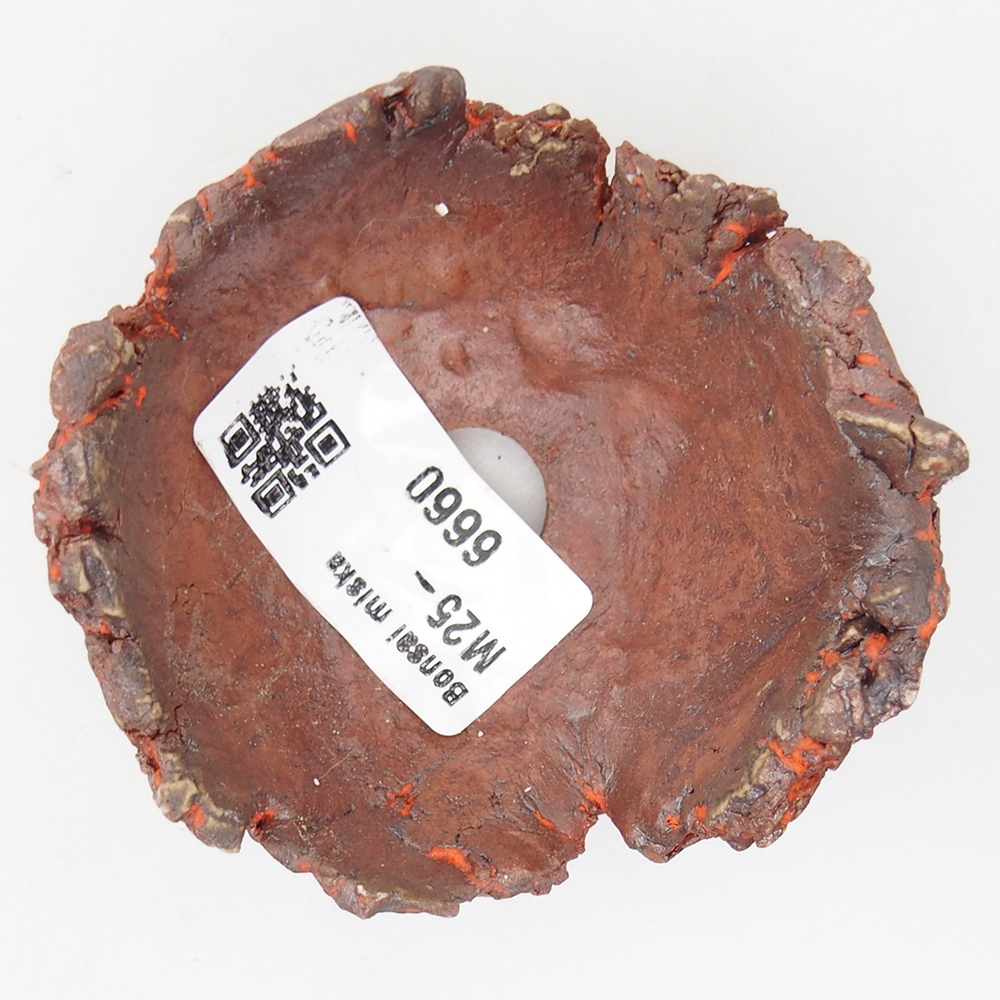 Schelp van keramiek 7 x 7 x 4 cm , kleur oranje