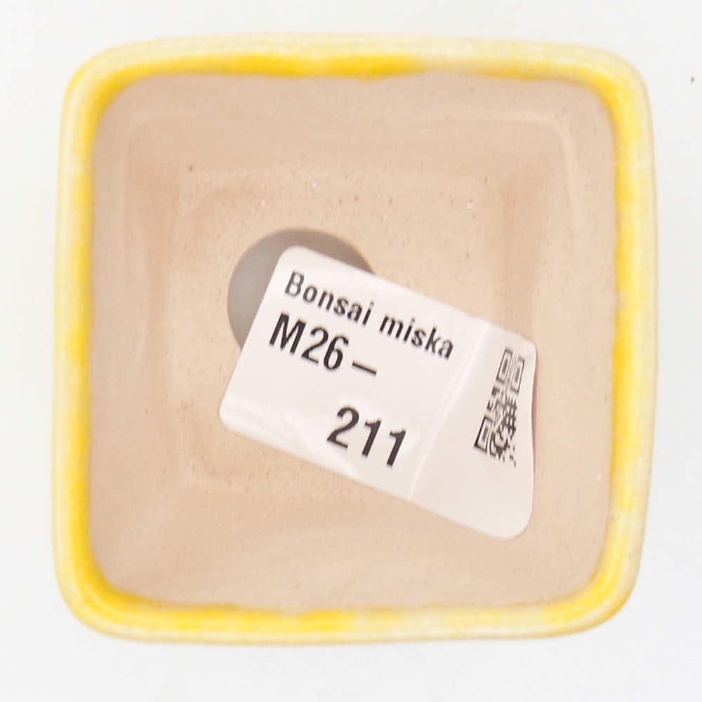 Mini bonsaischaal 5 x 5 x 5 cm, geel