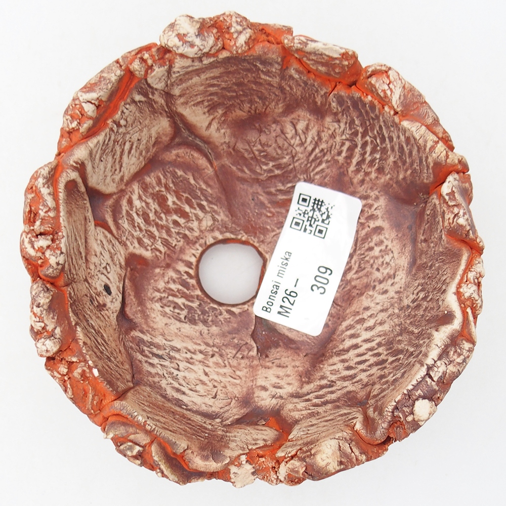 Keramisch Schelp 11 x 11 x 6 cm , kleur oranje