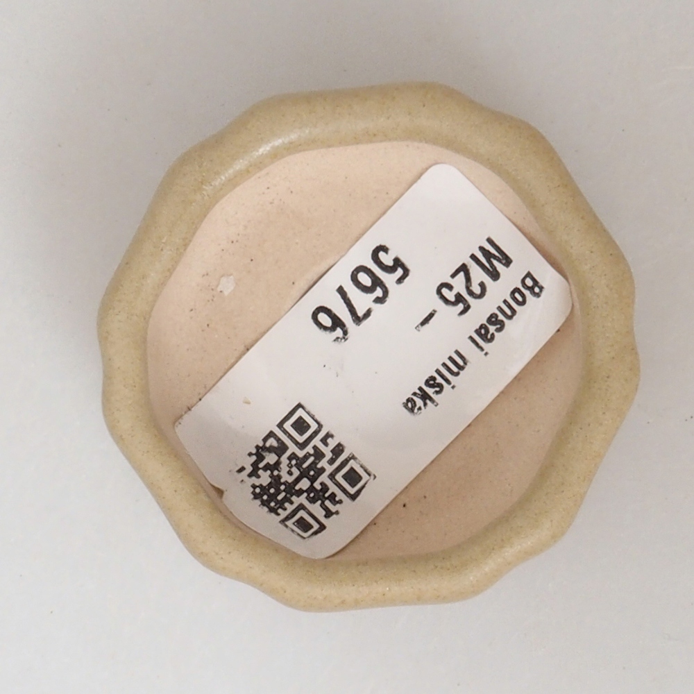 Mini bonsaischaal 4,5 x 4,5 x 2 cm, bruin