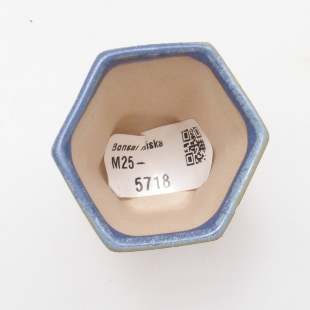 Mini bonsaischaal 4,5 x 4,5 x 6,5 cm, kleur blauw