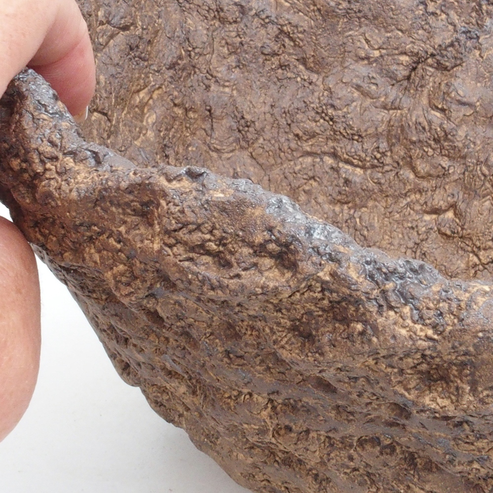 Keramisch Schelp 22 x 20 x 20,5 cm , kleur bruin