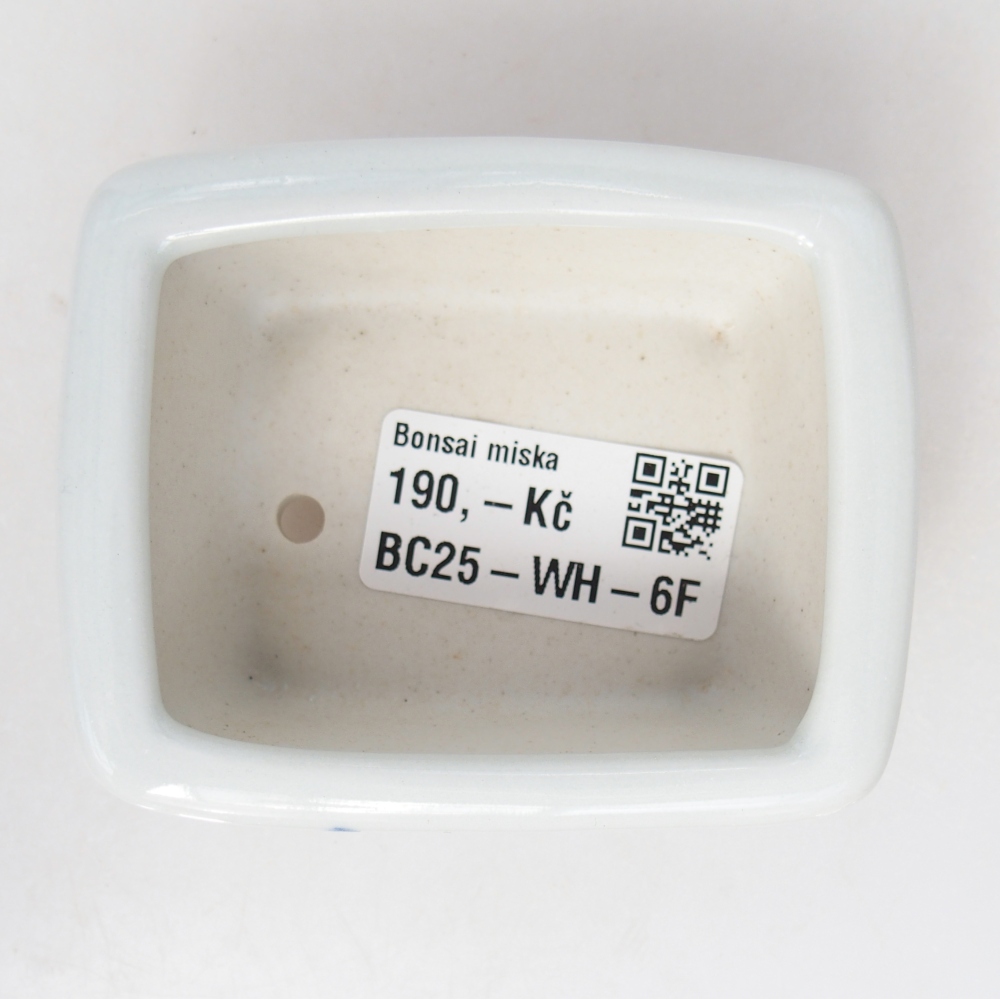 Mini bonsaischaal 8 x 6,5 x 3,5 cm, wit
