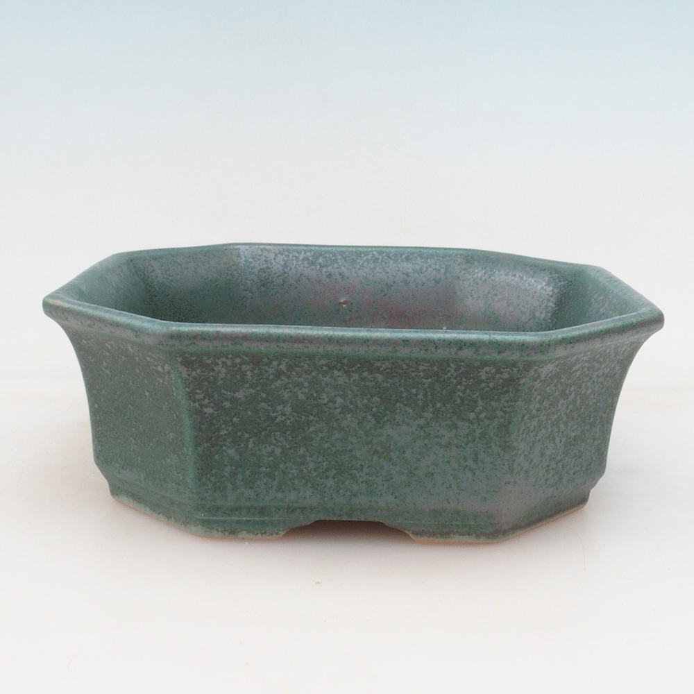 Bonsaischaal H14 - 17,5 x 17,5 x 6 - groen