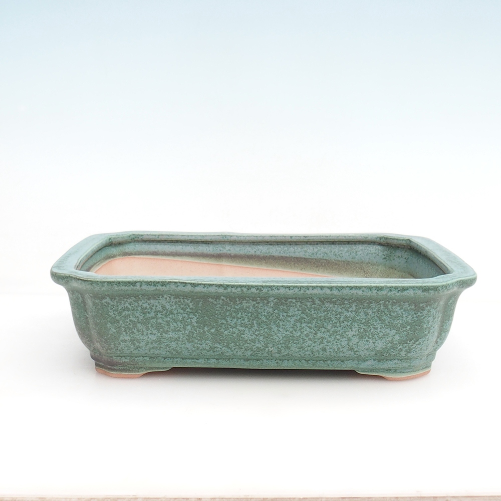 Bonsaischaal + schotel H07 - 30 x 20,5 x 8 cm.