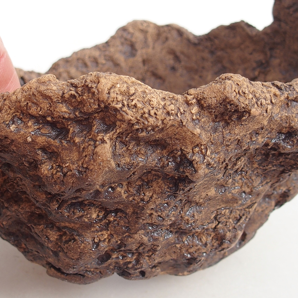 Keramisch Schelp 13,5 x 12 x 11,5 cm , kleur bruin