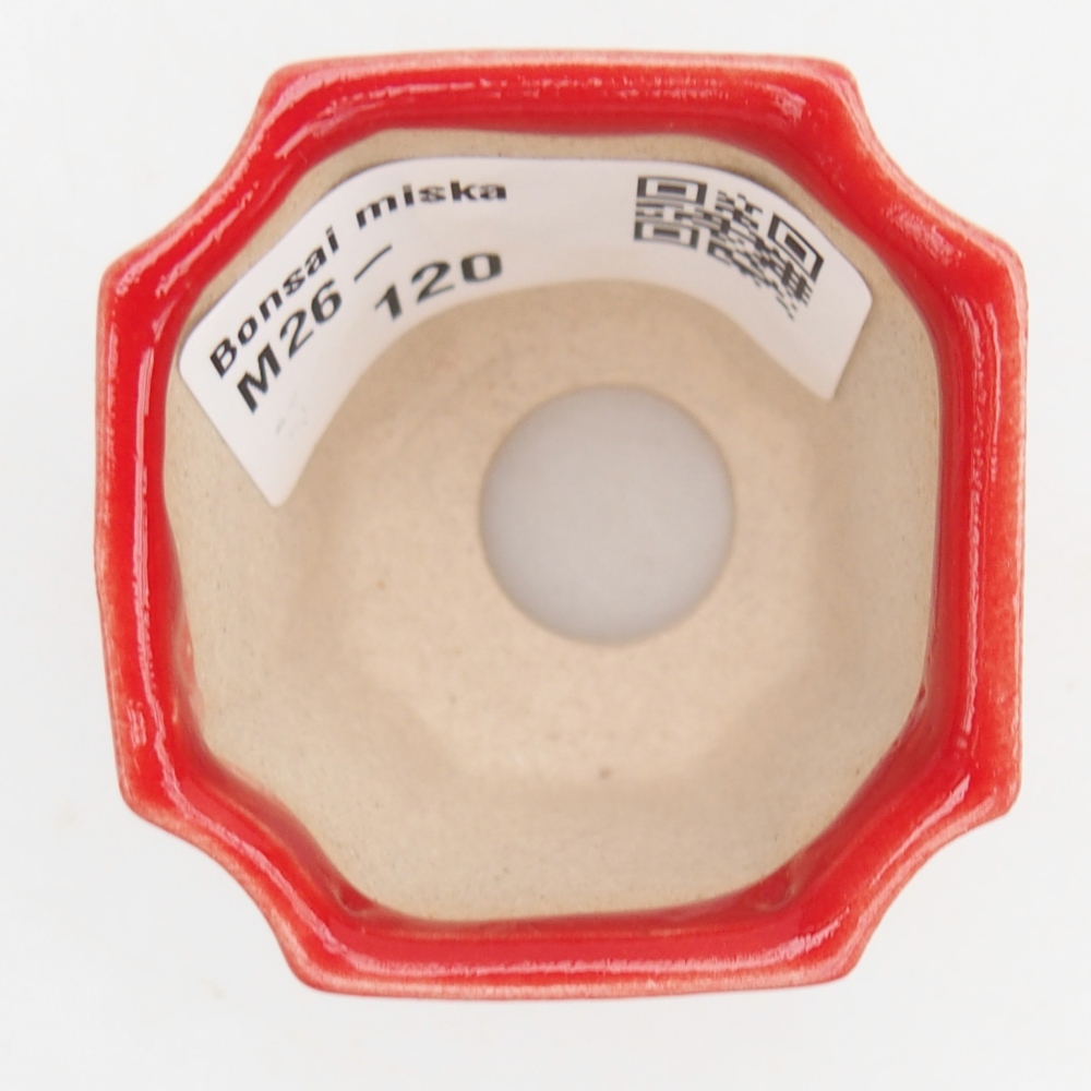 Mini bonsaischaal 4,5 x 4,5 x 4 cm, kleur rood