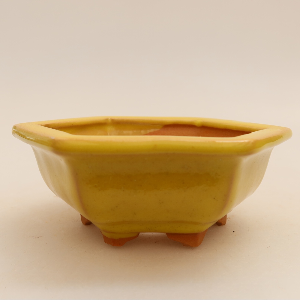 Keramische bonsaipot 12 x 10,5 x 4 cm, kleur geel