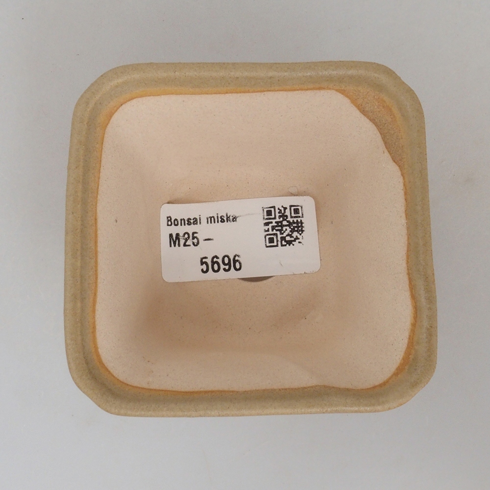 Mini bonsaischaal 7,5 x 7,5 x 4,5 cm, bruin