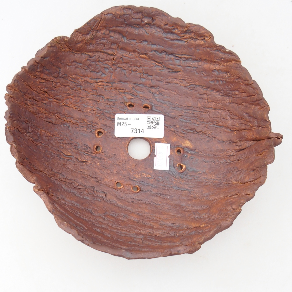 Keramisch Schelp 19 x 19 x 6,5 cm , kleur bruin