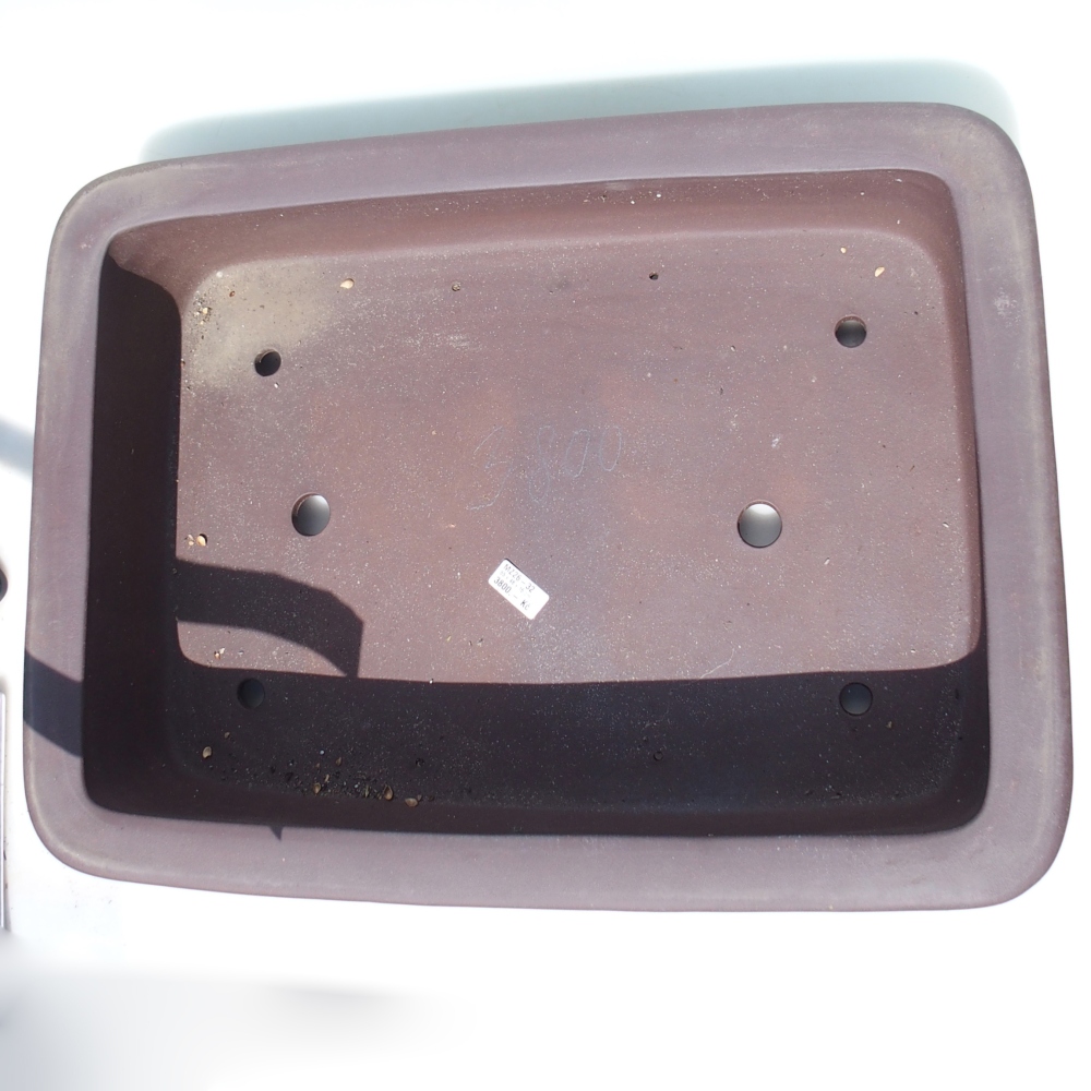 Bonsaischaal 65 x 48 x 16 cm - bruin