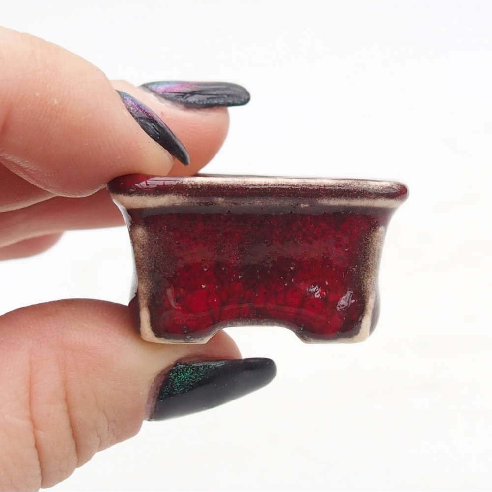Mini bonsaischaal 3 x 2,5 x 2 cm, kleur rood