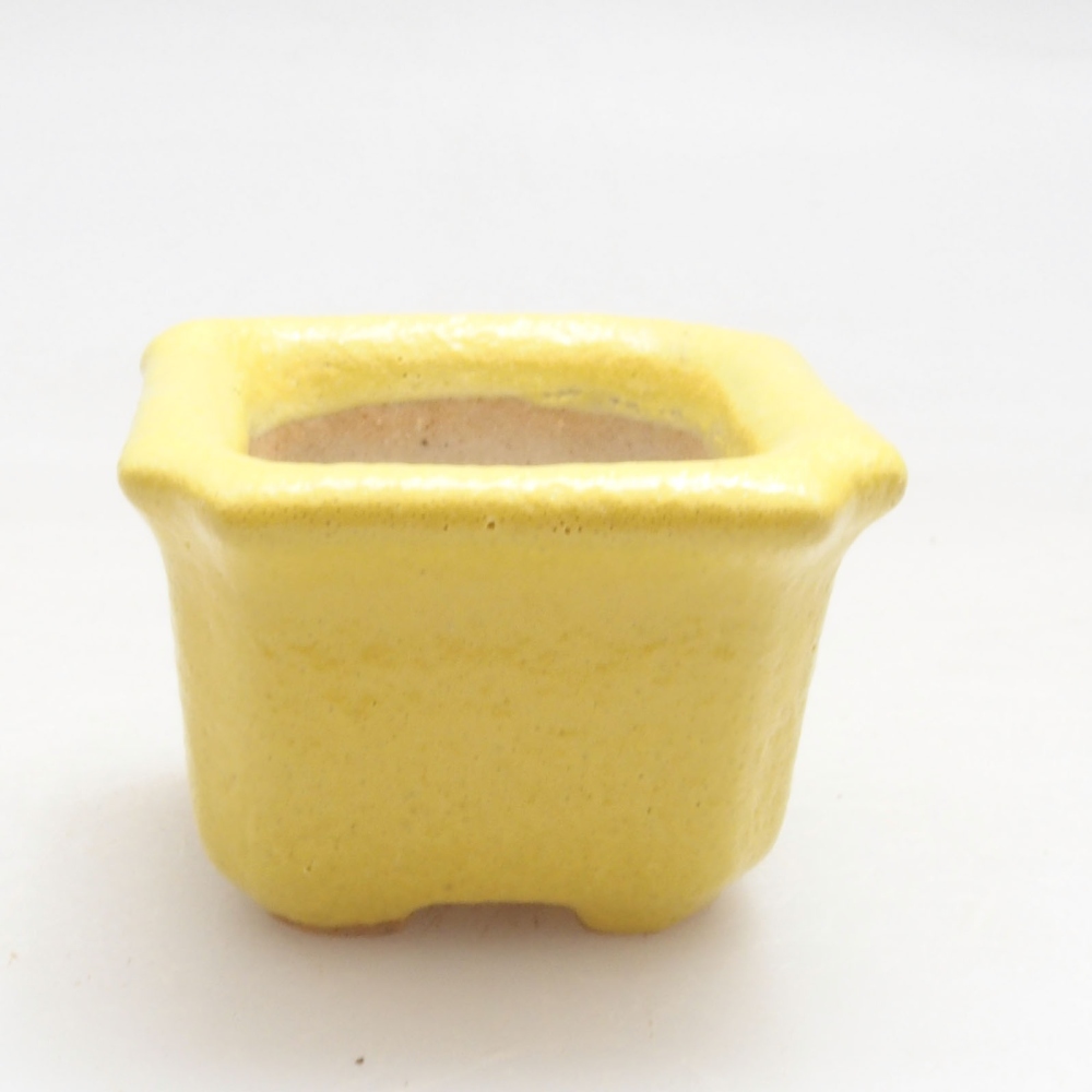 Bonsaischaaltje van keramiek 3 x 3 x 2 cm, geel