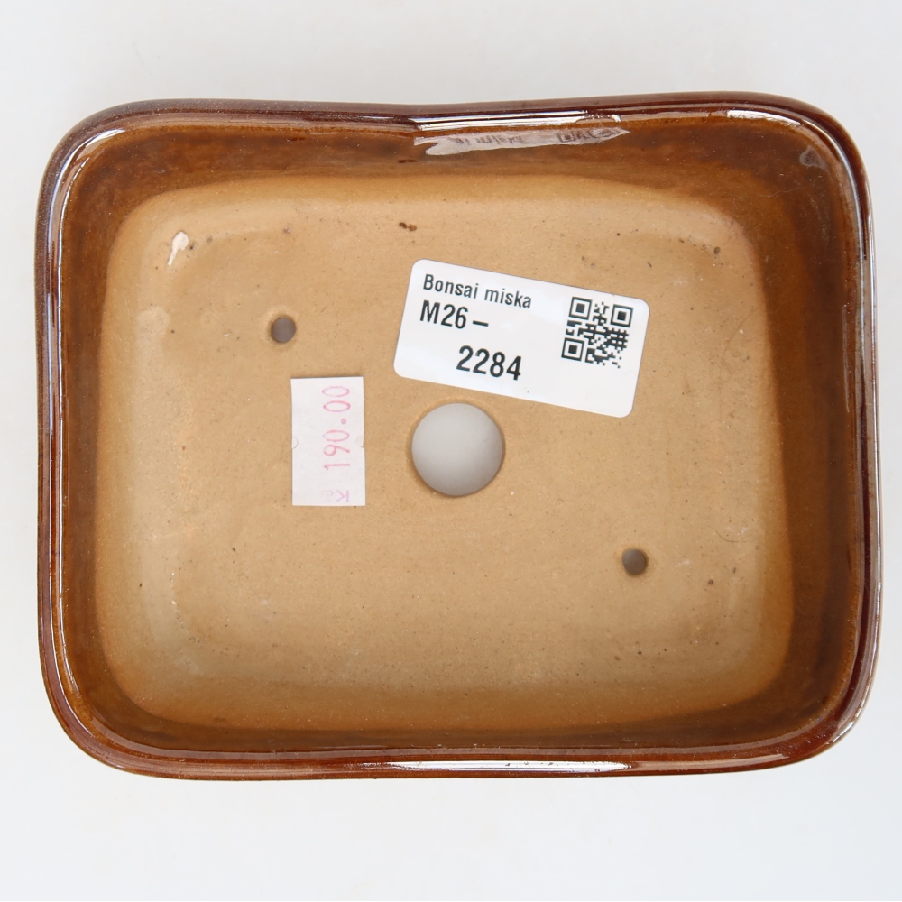 Keramische bonsaipot 12,5 x 9,5 x 4 cm, kleur bruin