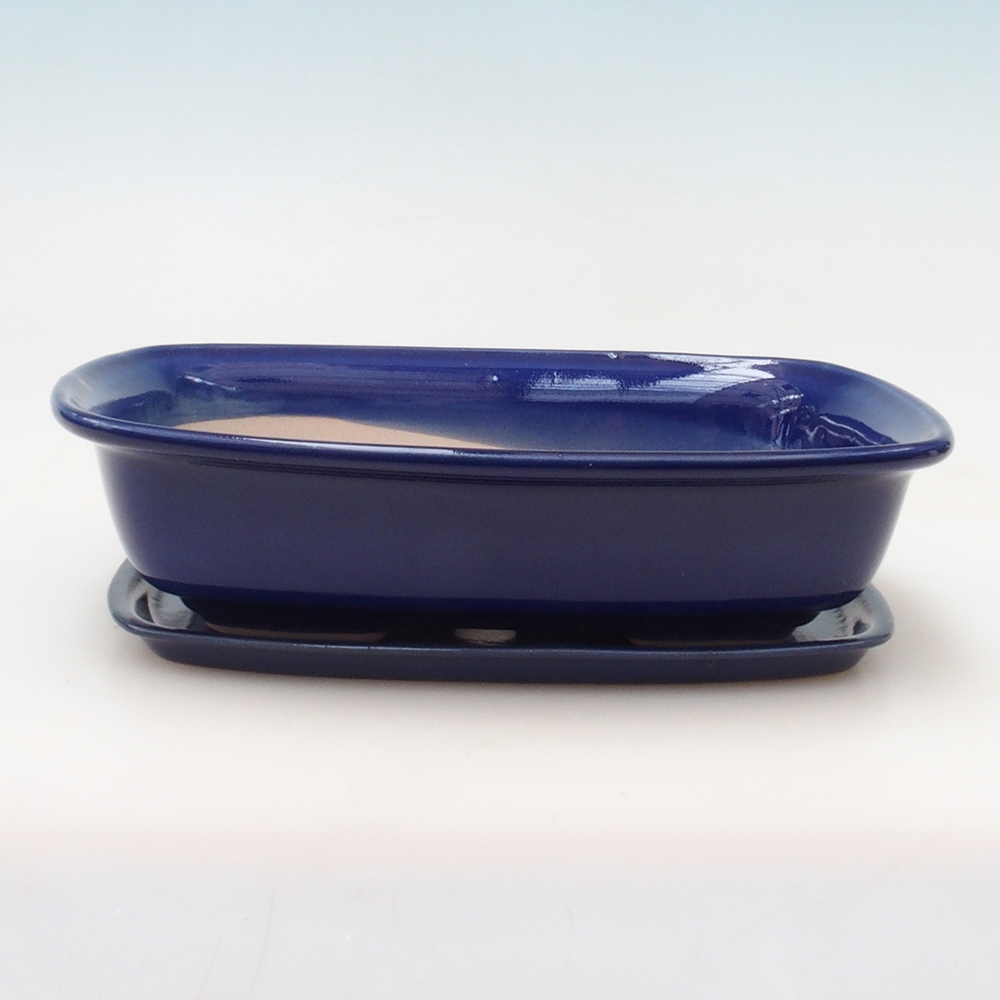 Bonsai kom + schotel H08 - 25 x 19,5 x 6 cm - blauw