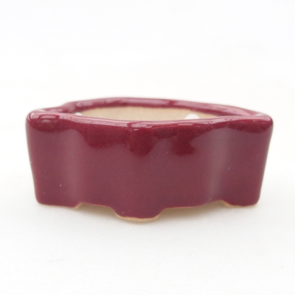 Mini bonsaischaal 5 x 3 x 2 cm, bordeauxrood