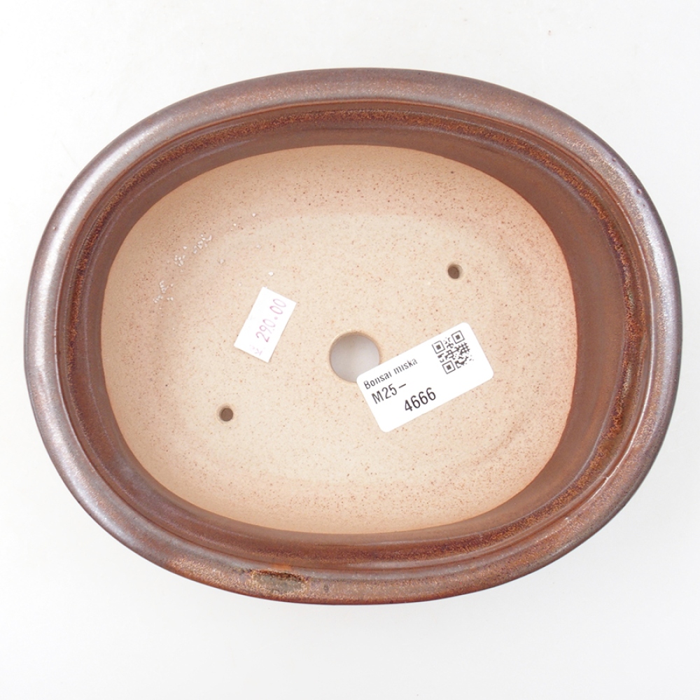 Bonsaischaal van keramiek 18 x 14,5 x 6 cm, bruin
