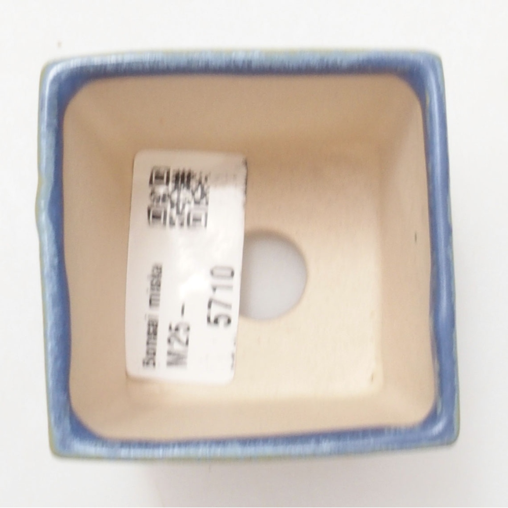 Mini bonsaischaal 5,5 x 5,5 x 6,5 cm, kleur blauw