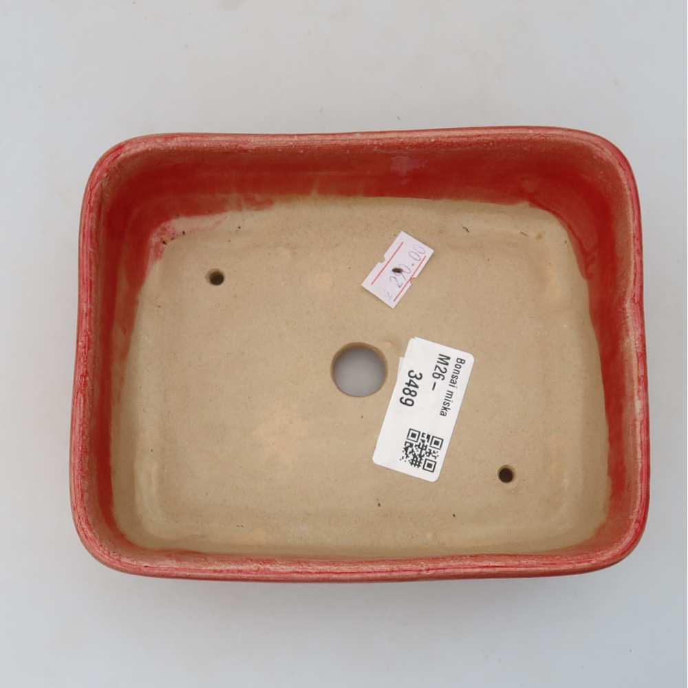Keramische bonsaipot 15 x 12,5 x 4,5 cm, kleur: rood