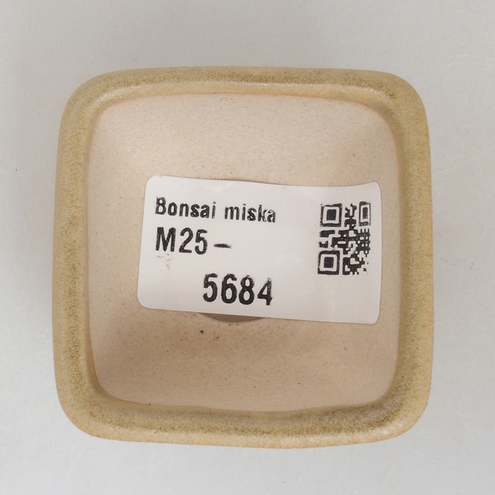 Mini bonsaischaal 4,5 x 4,5 x 3 cm, bruin