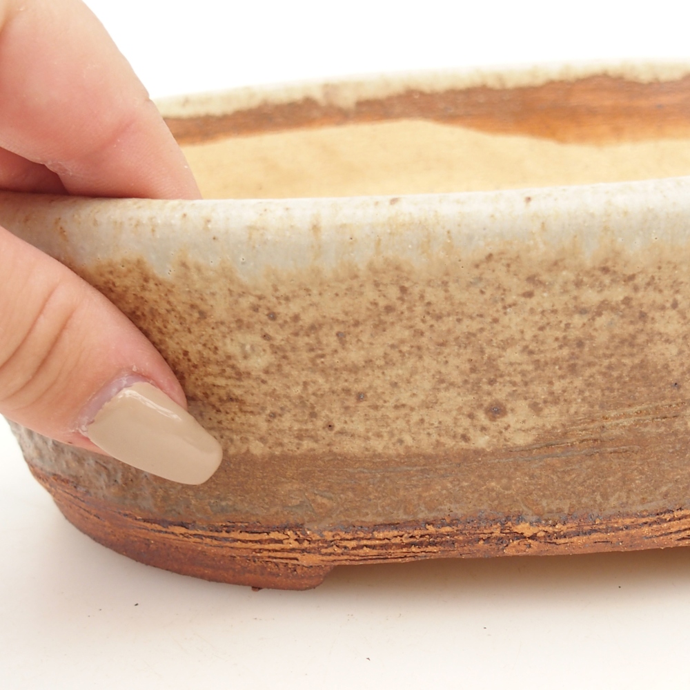 Bonsaischaal 20 x 16 x 6,5 cm , kleur beige